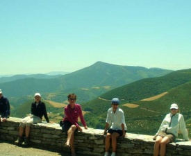 Late June Camino 2011